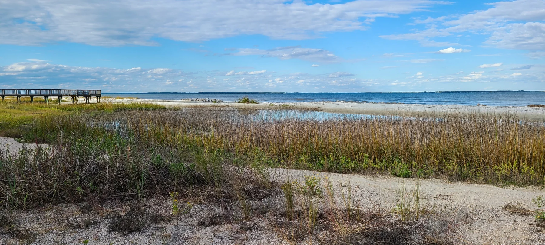 Salt-marsh grasses, a boardwalk and the shore at Fish Haul Creek on Hilton Head Island.