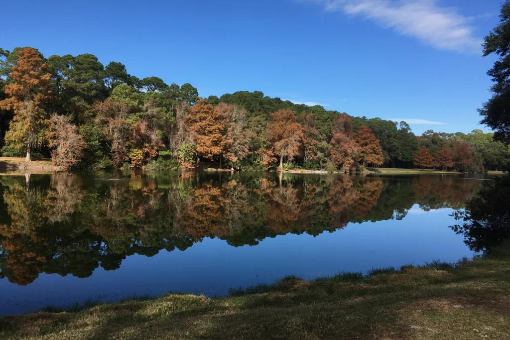 Trees and still water at Lake Joe in Sea Pines Forest Preserve, Hilton Head Island.